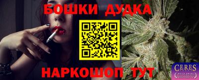 jwh Новозыбков