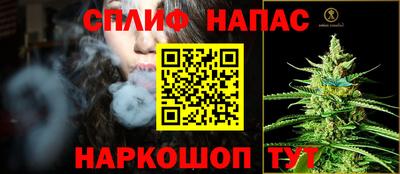 jwh Новозыбков