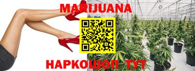 трава Новокубанск