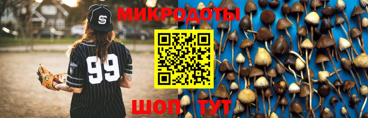 Галлюциногенные грибы Magic Shrooms Саяногорск