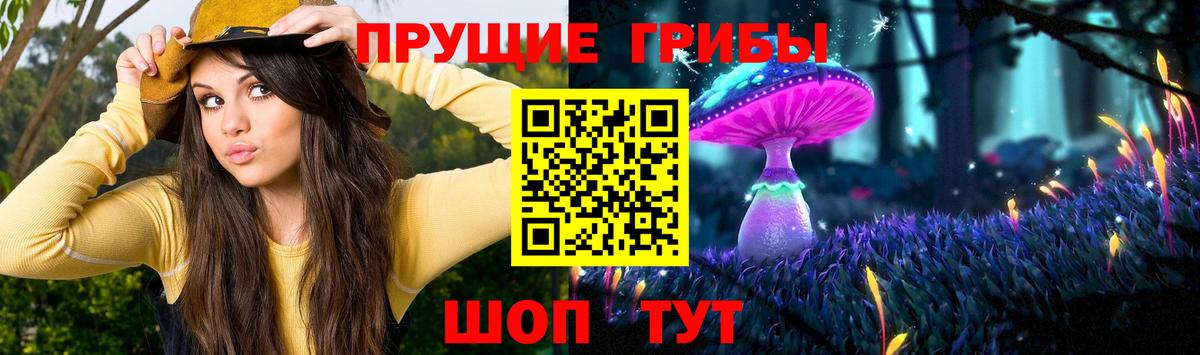 Саяногорск  Галлюциногенные грибы Psilocybe  Вход с VPN 